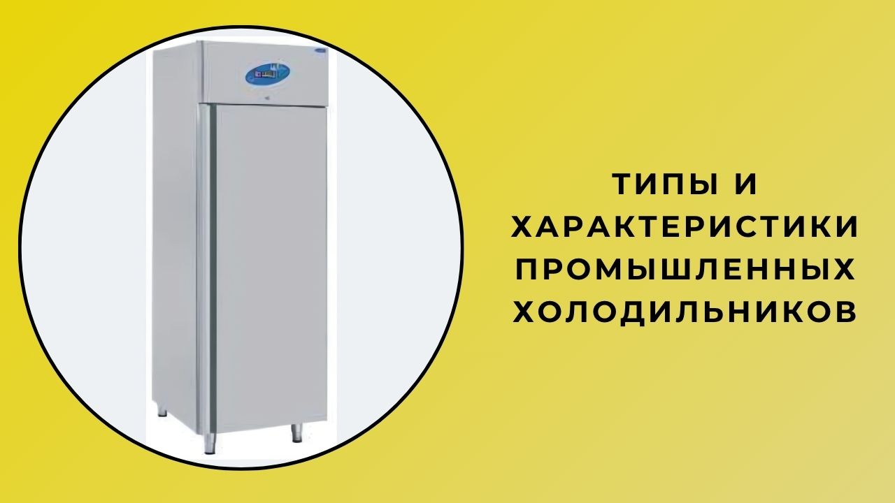 Типы и особенности вашего промышленного холодильника