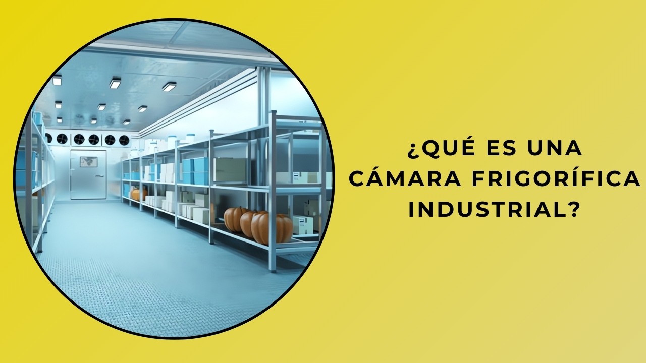 Qu’est-ce qu’une chambre froide industrielle?