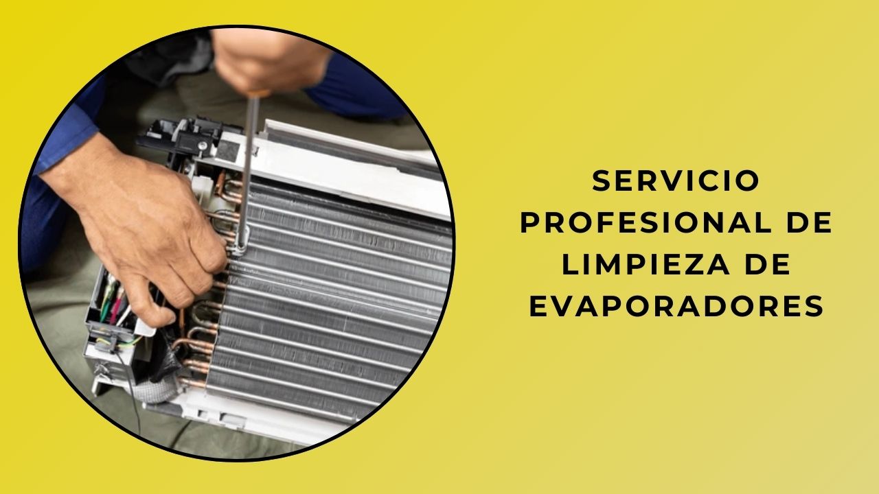 Servicio Profesional De Limpieza De Evaporadores