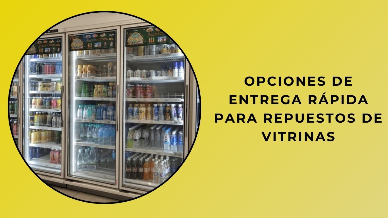 Opciones De Entrega Rápida Para Repuestos De Vitrinas