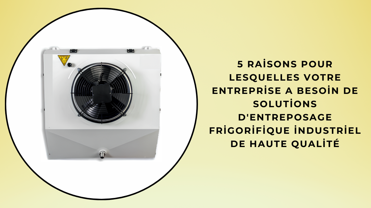 5 raisons pour lesquelles votre entreprise a besoin de solutions d'entreposage frigorifique industriel de haute qualité